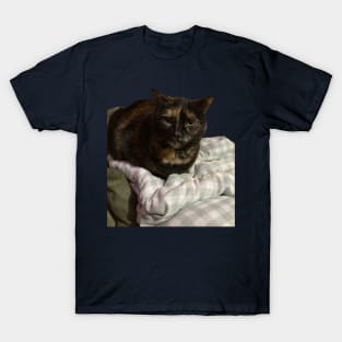 Sweet Tortie T-Shirt